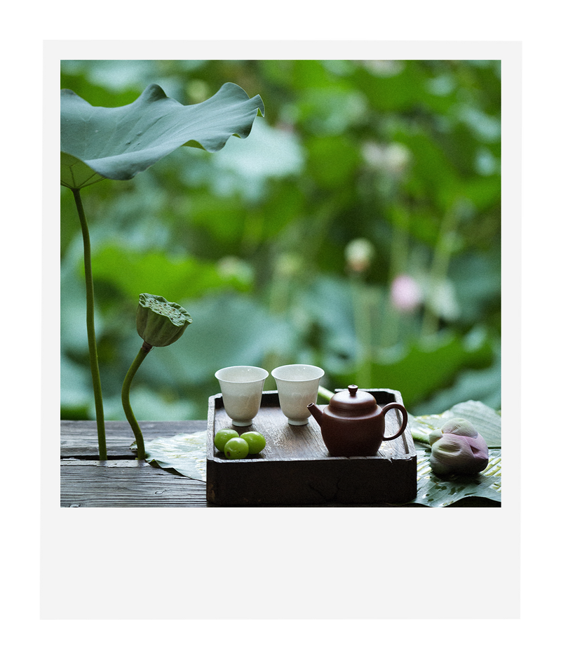 White Tea & Aromatherapy